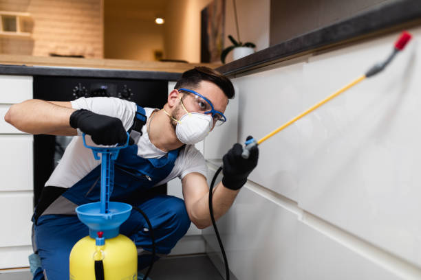 Best Pest Prevention Services  in Henderson, TN