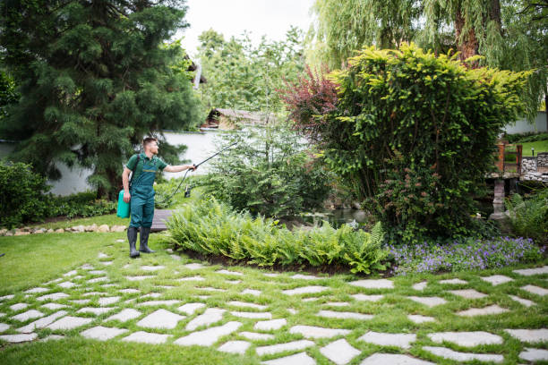 Best Pest Inspection Near Me  in Henderson, TN