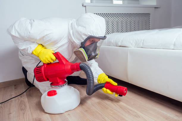 Best Local Pest Control Services  in Henderson, TN