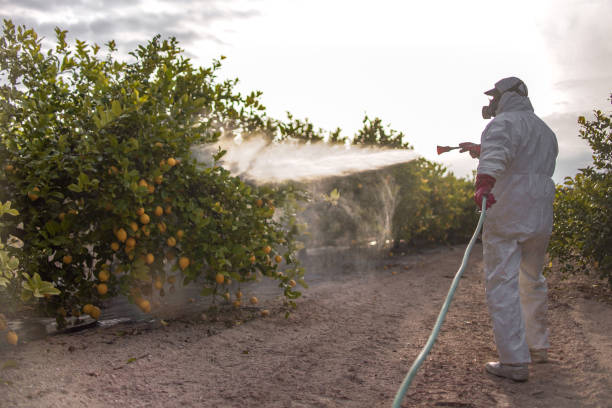 Best Pest Removal Services  in Henderson, TN