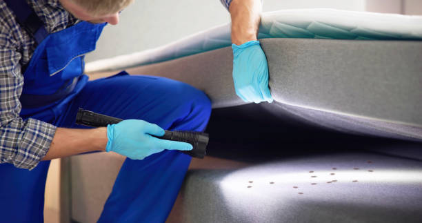 Best Cockroach Control Services  in Henderson, TN