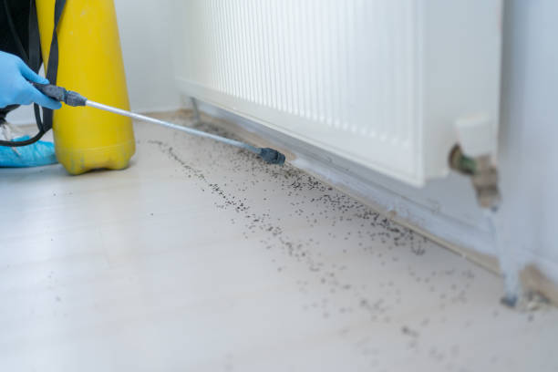 Best Best Pest Control Companies  in Henderson, TN