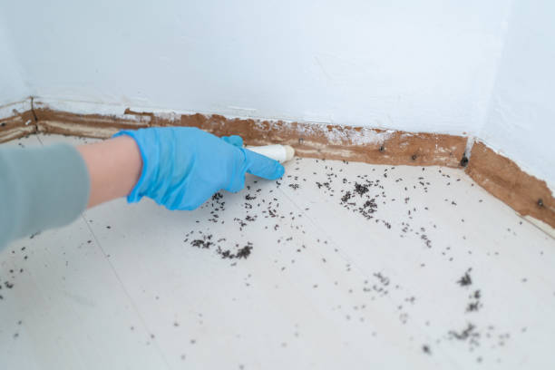 Best Pest Removal Services  in Henderson, TN